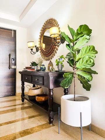 Fiddle_Leaf_Plant_480x480
